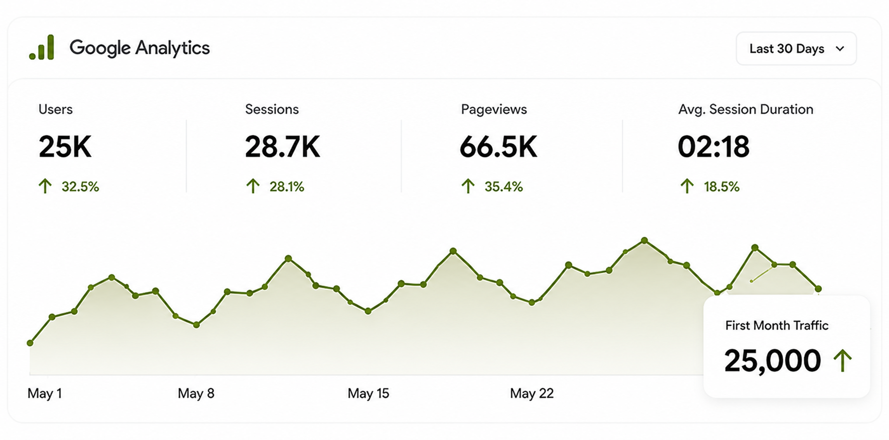 Google Analytics Dashboard showing 25K users